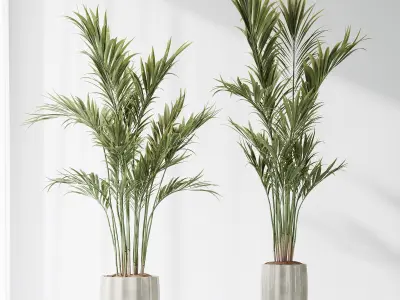 Bird Of ParadiseBird and Areca Majesty Vase 12 3D model