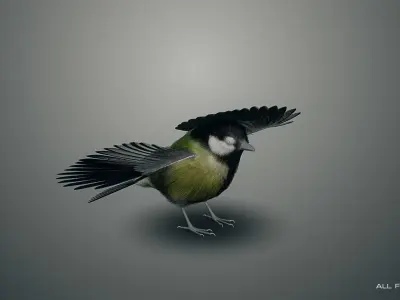 Great tit 3D model