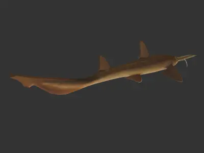 long shark mouth Low-poly 3D model