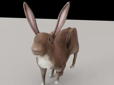  Rabbit 3D Model  Low-poly 3D model