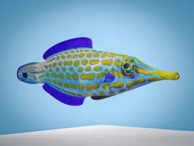 Colorful harlequin coral reef fish Low-poly 3D model