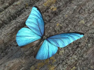 Blue Morpho Butterfly Low-poly 3D model