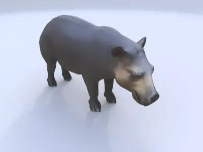 Tapir 3D model
