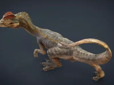 Dilophosaurus dinosaur Low-poly 3D model