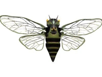 Cicada beetle flying Low-poly 3D model