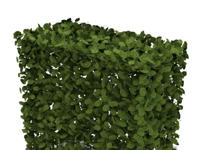 Hedge 1m x 1m 3D model