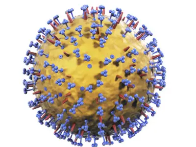 Influenza virus 3D model
