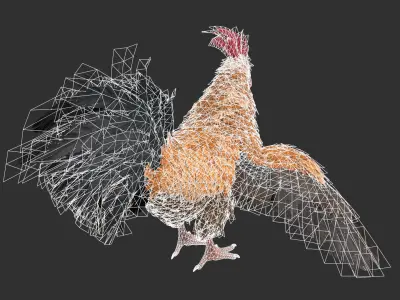 Chicken Rooster Low-poly 3D model