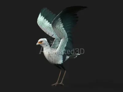 SecretaryBird A2 3D model