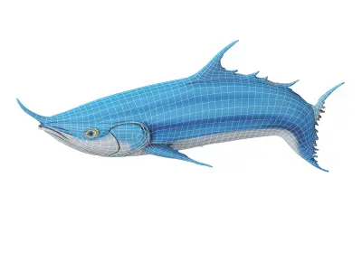 Bluefin tuna Low-poly 3D model