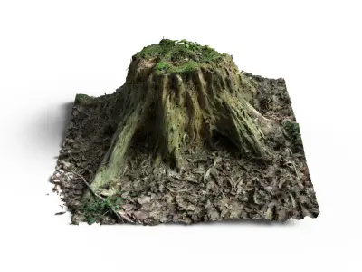 Forest Tree Stump 4K -Part 9- Free low-poly 3D model