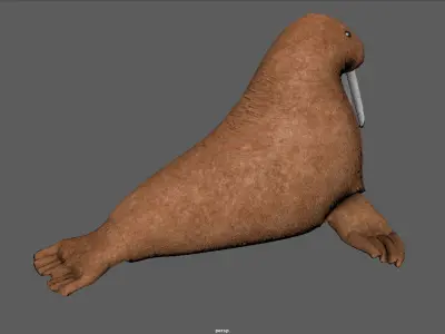 WALRUS TEDDY 3D model