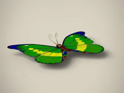 Butterfly Low-poly 3D model