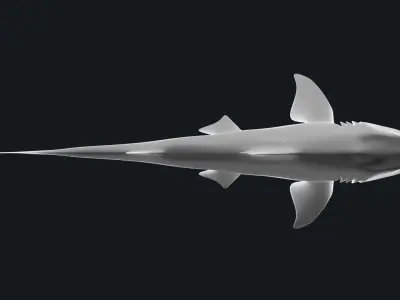 Bamboo Shark Base Mesh Low-poly 3D model