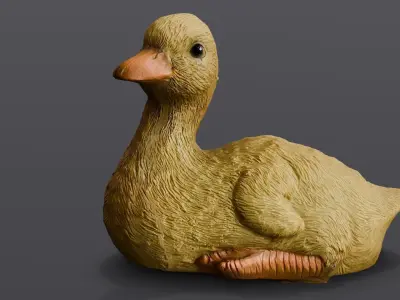 Cartoon Duck 3D Model  Low-poly 3D model
