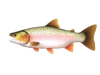 Low-Poly Rainbow Trout Animated Low-poly 3D model