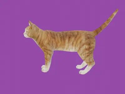 cat lowpoly 3d model 3D model