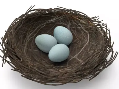 Bird Nest 3D Unity Low-poly 3D model