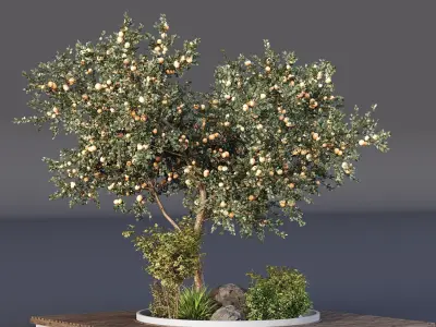 HQ Tree and bush garden box outdoor VOL 01 Free 3D model