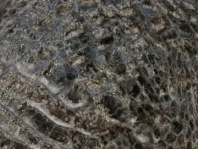 Evolved Godzilla X Kong the new empire 2024 Free 3D model