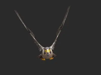 peregrine falcon Free 3D model