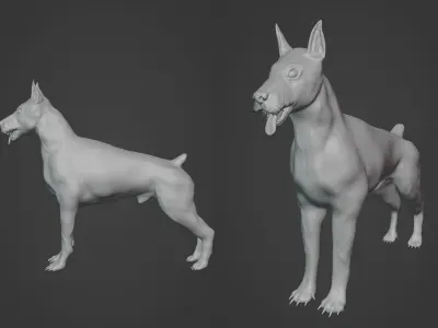 Doberman Dog Realistic Model Low-poly 3D model