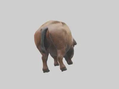 Bison grazing model 3D model