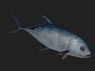 Trevally Low-poly 3D model
