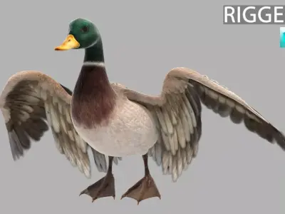 mallard duck flying in air 3D model