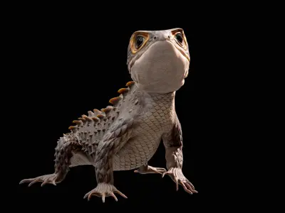 Crocodile Skink Lizard Rigged PBR 3D model