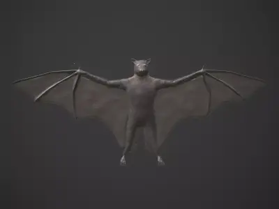 Bat Black Low-poly 3D model