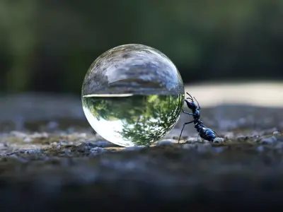 Ant insect Low-poly 3D model