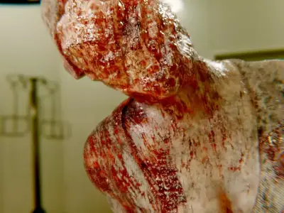 Nurse Horror Game Free 3D model