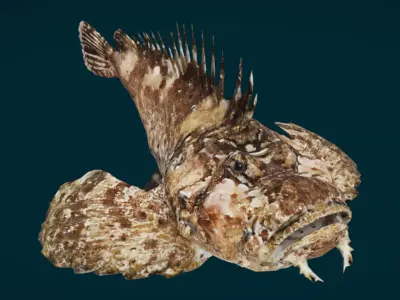 Demon Stinger Fish 3D model