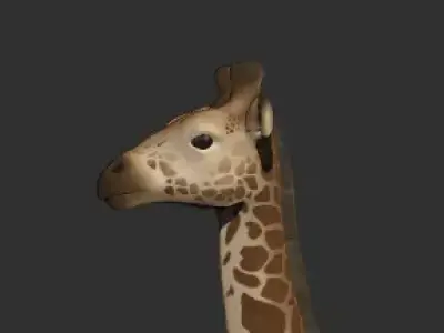 Giraffe 3D Model 3D model