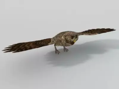 Owl bird Low-poly 3D model
