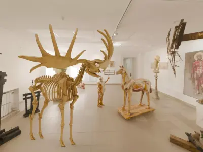 Realistic Mammals Fossil - Megaloceros Low-poly 3D model