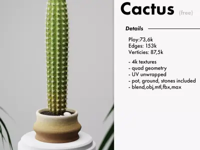 Realistic Cactus with pot ground and little stones included Free 3D model