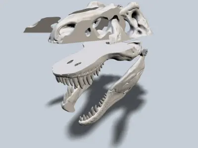 Exploded T-Rex Skull Free 3D print model