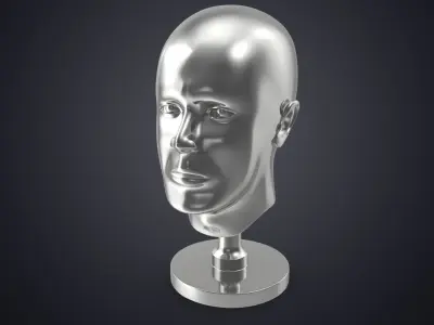 Silver Head Statue 3D model