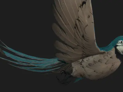Parrot A12 3D model