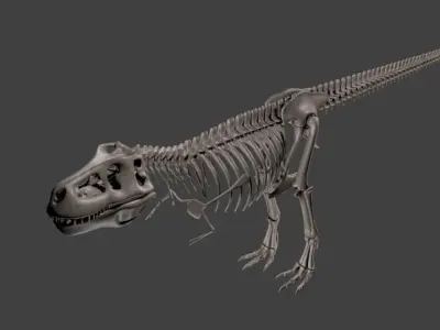 T-Rex skeleton 3D model