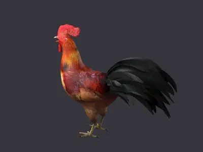 rooster rigged bird farm cock feather chicken poultry animal 3D model