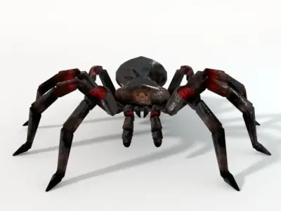 Tarantula spider Low-poly 3D model