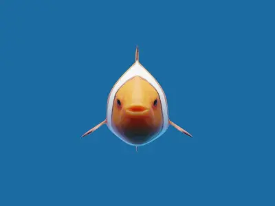 Realistic anemone clownfish ocean reef fish rigged  Low-poly 3D model