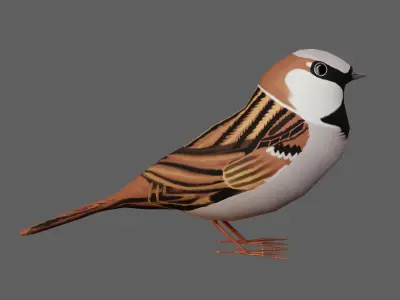 Sparrow Low-poly 3D model