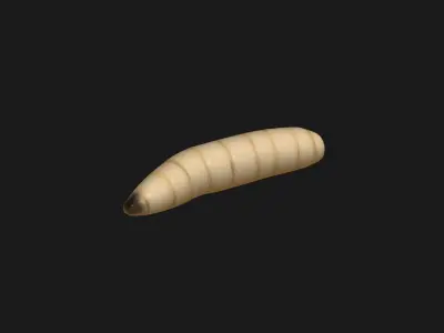animated maggot 3D model