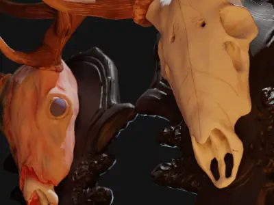 Red Deer Skull with wall mount Low-poly 3D model