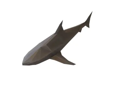 Low Poly Shark v1 012 Low-poly 3D model