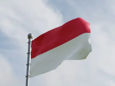 Animated Monaco Flags 3D model